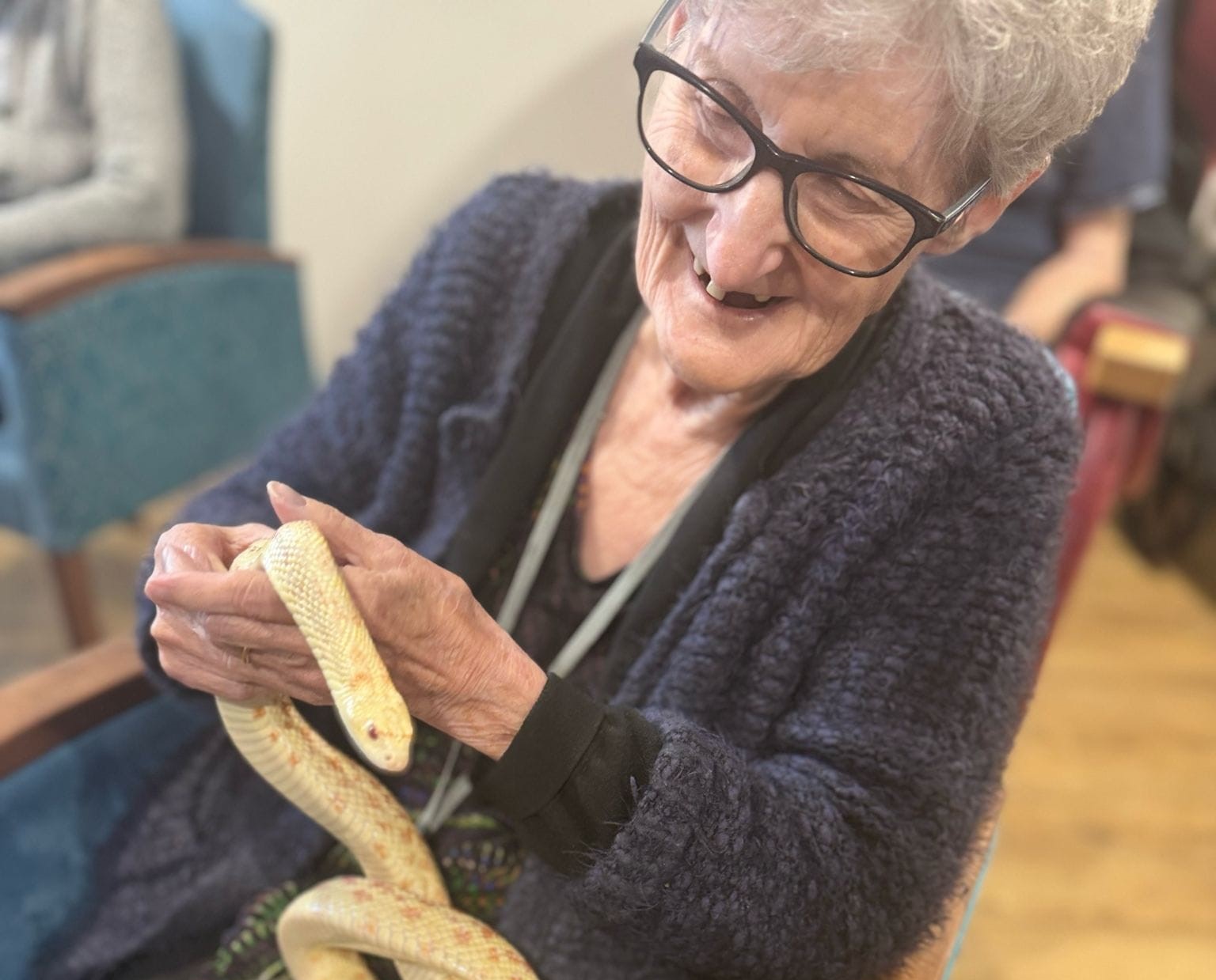 Asset - Pictured: Belong Newcastle-under-Lyme apartment tenant, Mary Burndrett, meets Bullie, an albino bull snake 