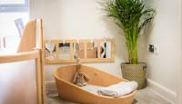 Belong Chester Nursery